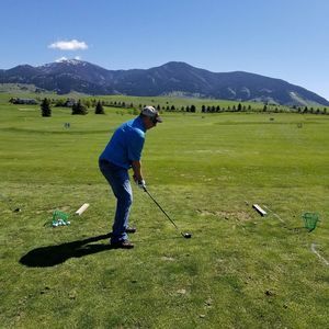 Meet your Posher, Molly